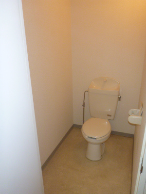 Other. Toilet is the width of spacious.