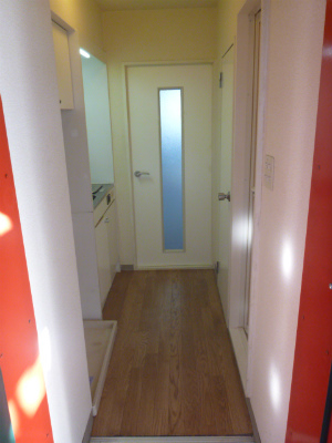 Entrance. Before entering the room, There is a firmly door.