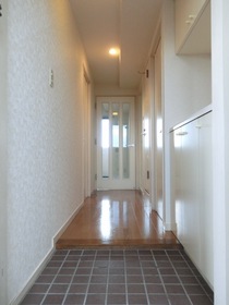Entrance. Corridor of the long approach from the front door