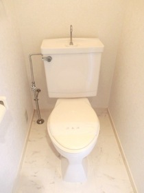 Toilet. Toilet (comes with a shelf on top)
