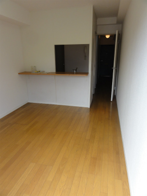 Living and room. Spacious LDK.