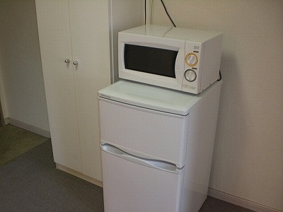 Other Equipment. microwave, Also it comes with a refrigerator.