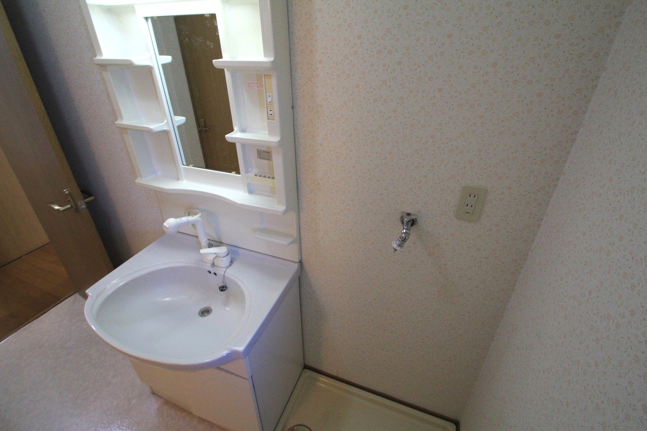 Washroom. Shampoo dresser, Washing machine in the room