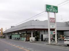 Supermarket. Yaoyoshi until Miharashi shop 542m