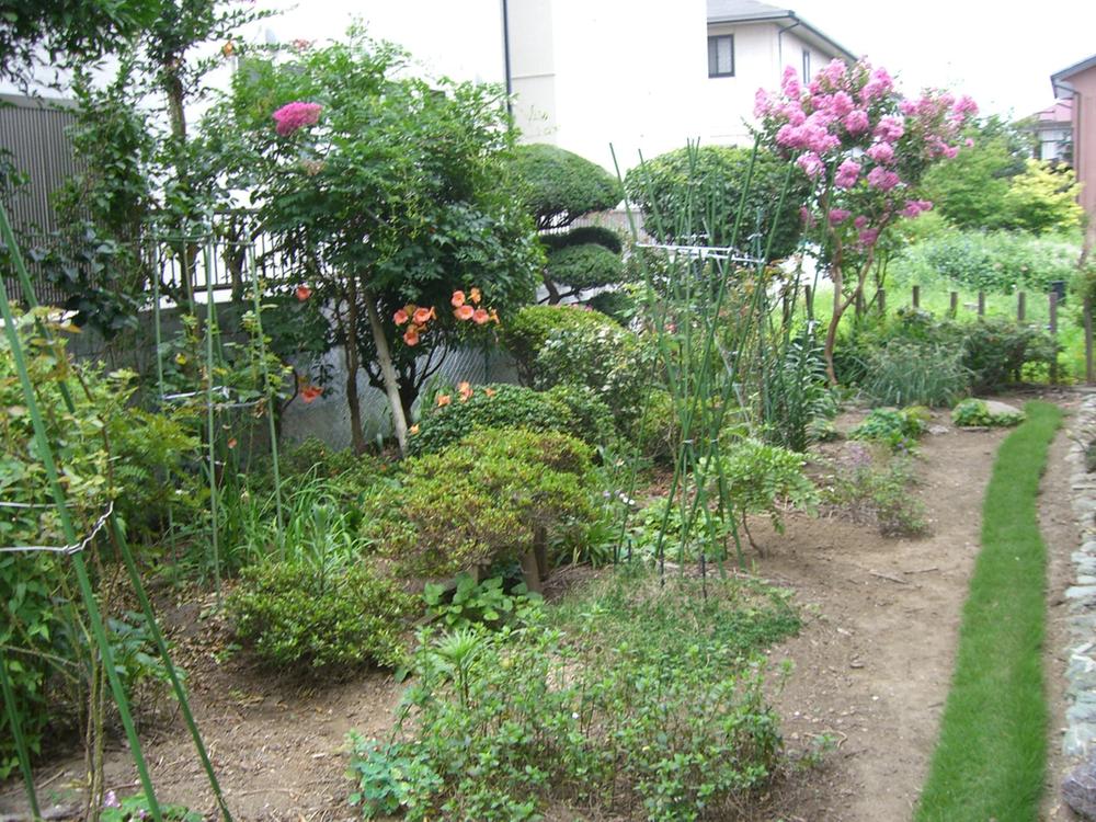 Garden. Local (July 2013) Shooting