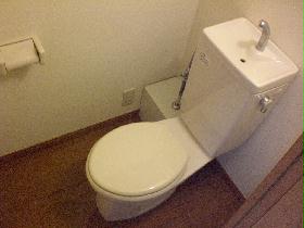 Toilet. Water washing