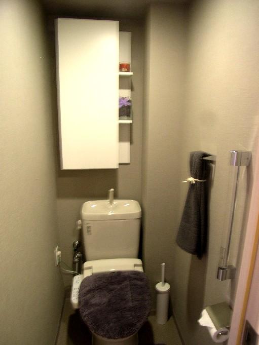 Toilet. There is a convenient storage in the toilet, Also it comes with a friendly handle to the elderly.