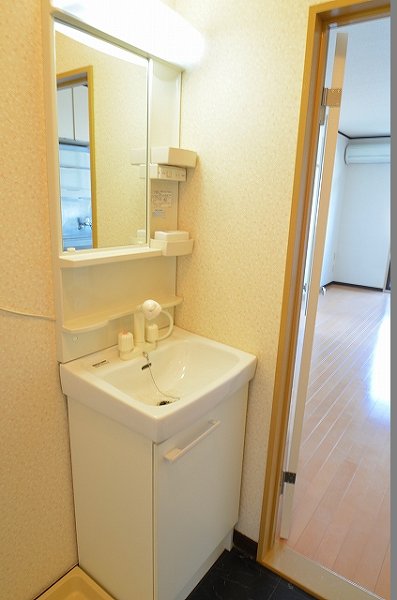 Washroom. Shampoo dresser