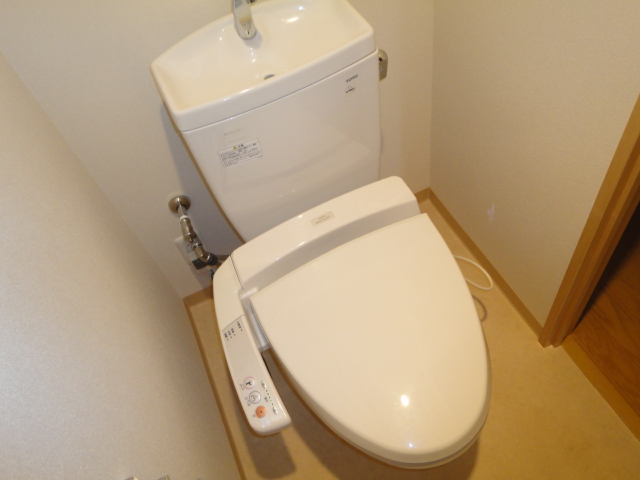 Toilet. Washlet with function