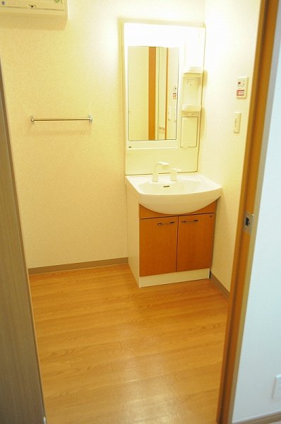 Washroom. Shampoo dresser