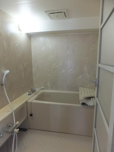 Bathroom. Indoor (June 2013) Shooting