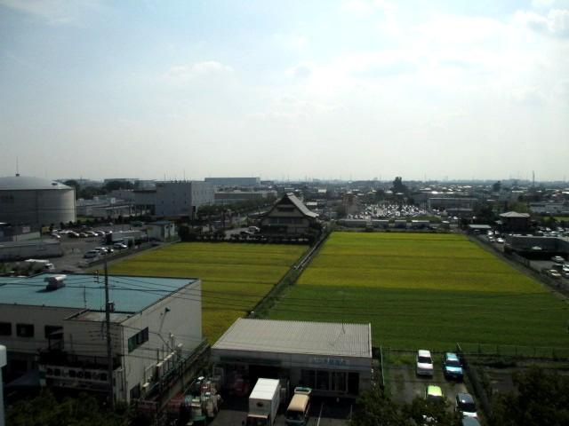 View photos from the dwelling unit. South view