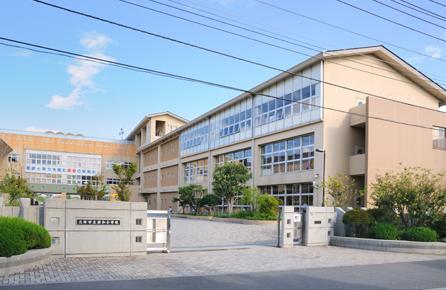 Primary school. Misato Municipal Shinwa to elementary school 771m