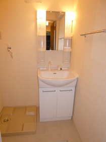 Washroom. Bathroom Vanity