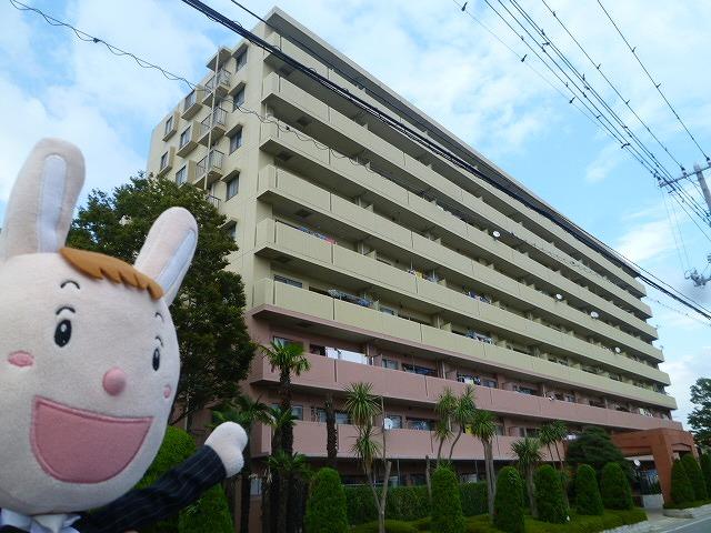 Local appearance photo. Local (September 24, 2013) Shooting