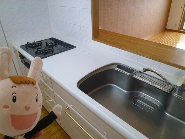 Kitchen. Indoor (September 24, 2013) Shooting