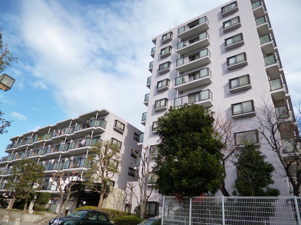 Local appearance photo. Local (12 May 2012) shooting