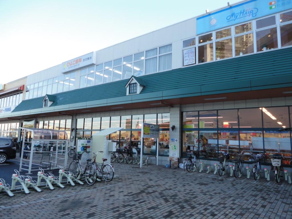 Supermarket. Maruetsu Misato central store up to (super) 1011m