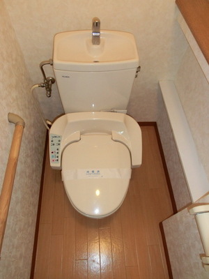 Toilet. Complete cleaning toilet seat