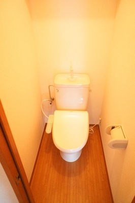 Toilet. With warm water washing toilet seat