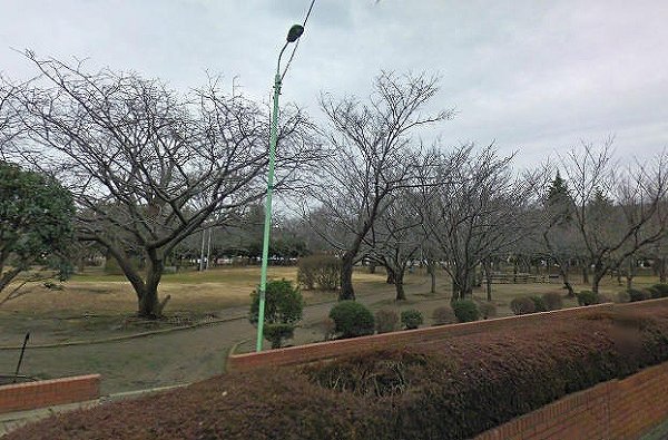 park. 350m until Waseda park (park)