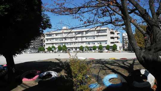 Other. Waseda Elementary School 9 minute walk (about 680m)