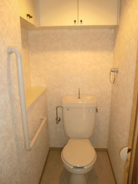 Toilet. It will be put away clean if there is housed in the toilet of the spread! 