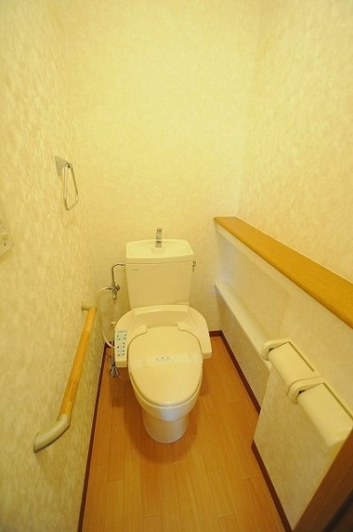 Toilet. Bidet