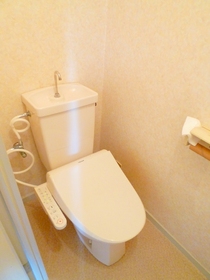 Toilet. Cleaning function with toilet seat