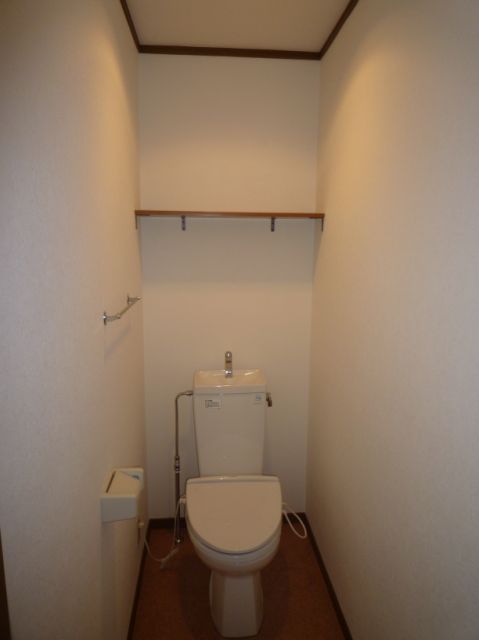 Toilet. It is convenient there is a shelf in toilet.