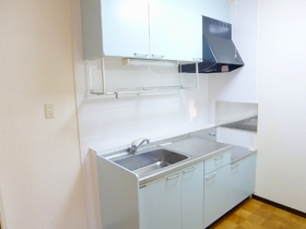 Kitchen. Gas stove can be installed in the kitchen