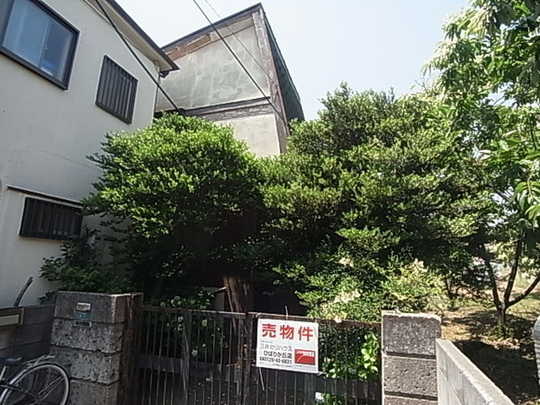 Local land photo