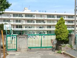 Primary school. Convenient school there in an 8-minute walk away and within walking distance from 590m property to Ikeda elementary school. Also, It is spacious also ground, It has become the environment in which children can freely To move the body. 
