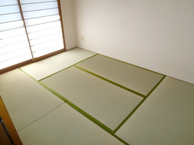 Living and room. Soothing tatami