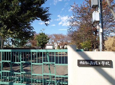 Primary school. Niiza Municipal Nishibori to elementary school 1072m