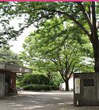 Other. Rikkyo Niiza campus and Keio Shiki Senior High School, etc., Area of ​​educational of sign drifts that prestigious educational facilities are scattered. 
