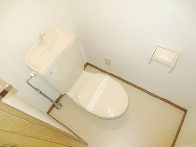 Toilet. Toilet with cleanliness