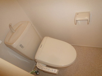 Toilet. Warm water washing toilet seat