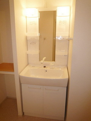 Washroom. Shampoo wash basin