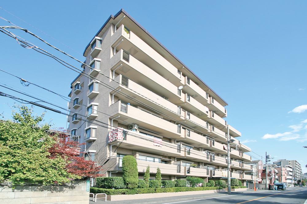 Local appearance photo. Local (11 May 2013) Shooting