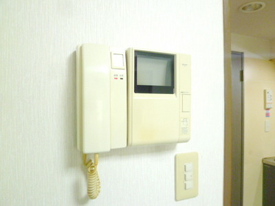 Security. Monitor with intercom