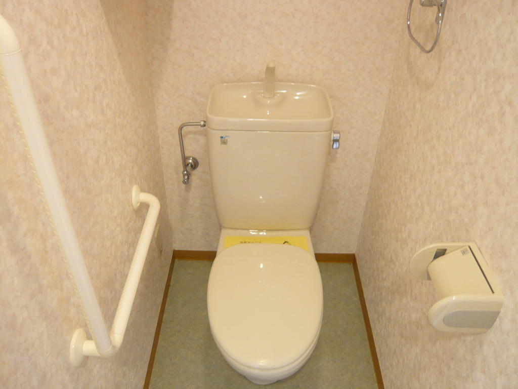 Toilet. It is a photograph of another room.