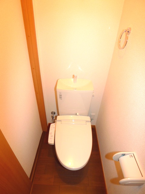 Toilet. Popular warm water washing toilet seat