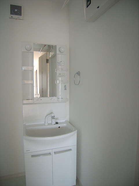 Washroom. Washbasin with handheld shower