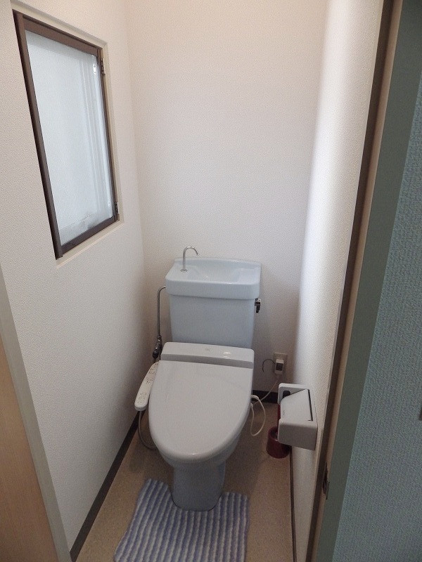 Toilet. Reference photograph