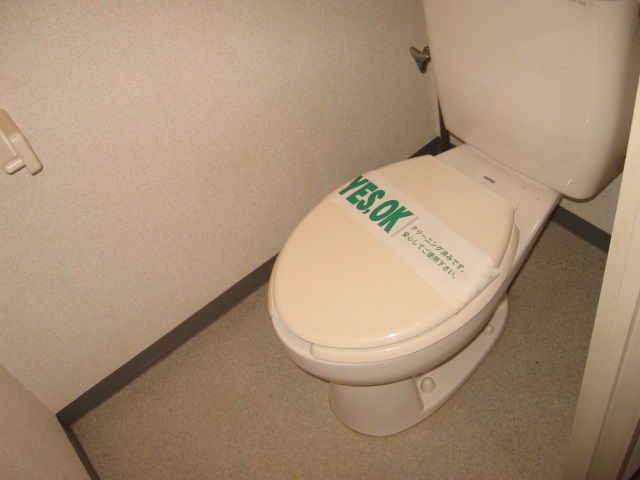 Toilet. It is a photograph of another room