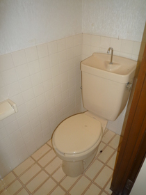 Toilet. Toilet! (The photograph is an image)