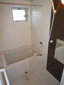 Bath. Room of accent panel use
