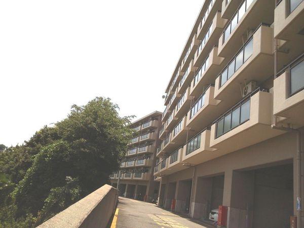 Local appearance photo. local