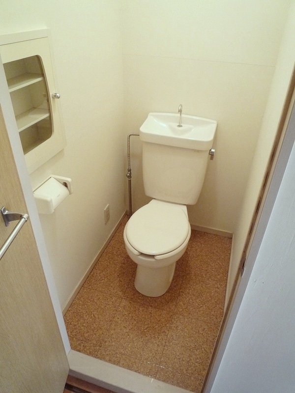 Toilet. Another Room No. reference photograph